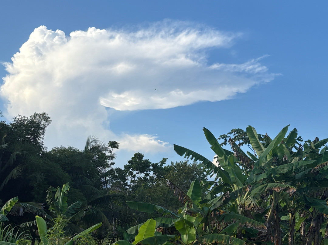 Pavones Surf Shop-帕沃尼斯必去景点