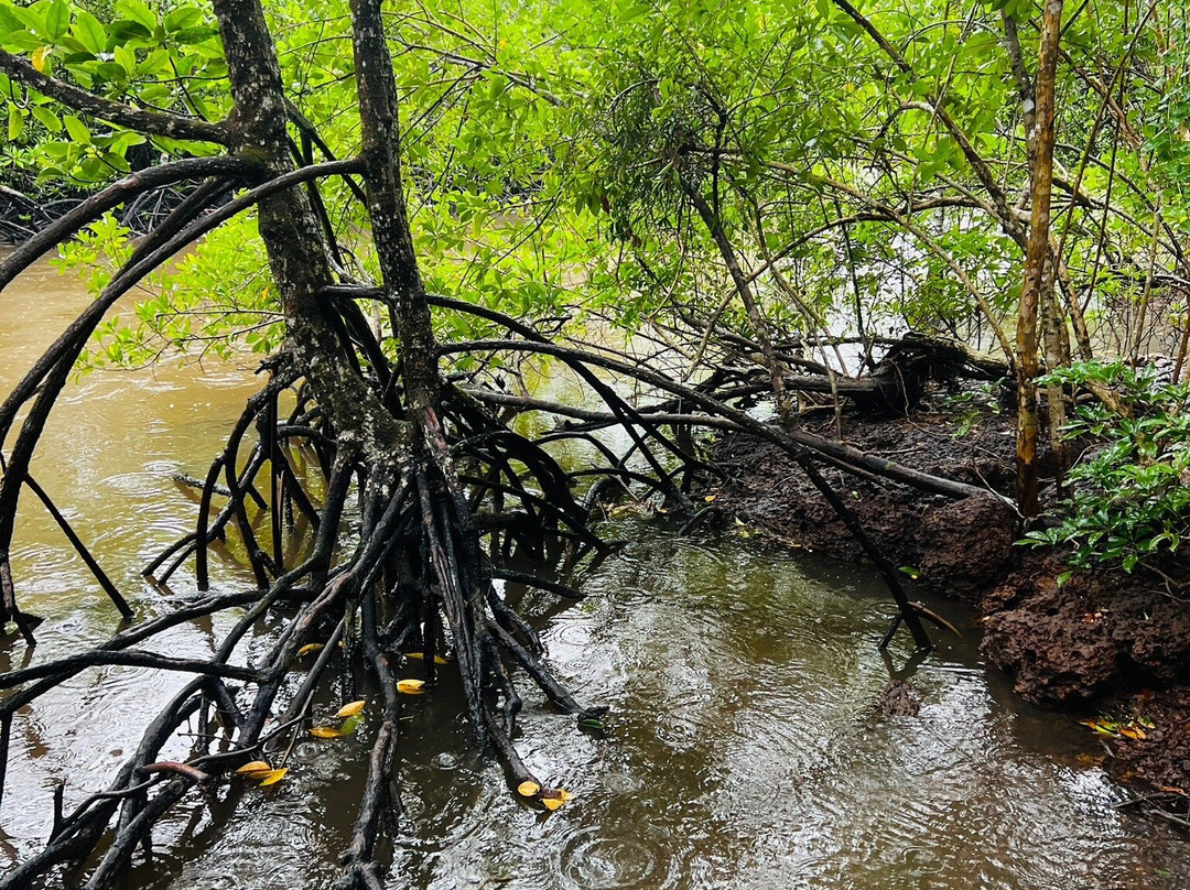 Prek Kongkang Koh Rong Ecotourism Community-Kaoh Touch必去景点