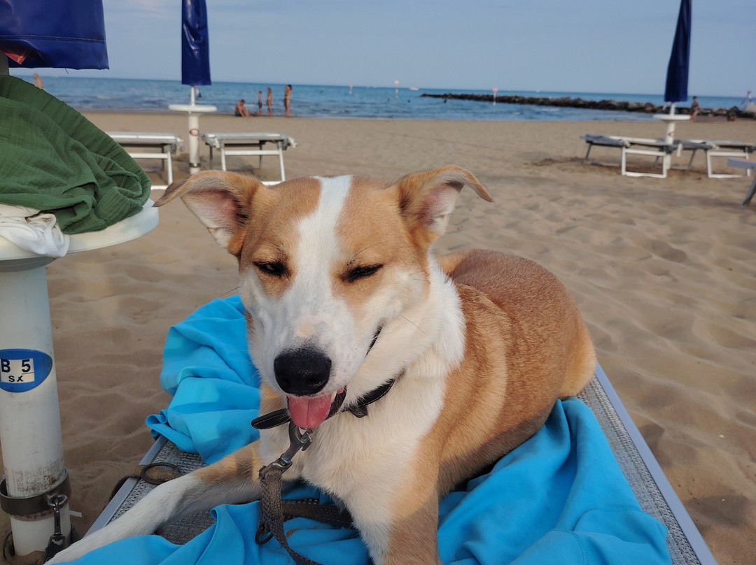 La spiaggia di Duke-利尼亚诺萨比亚多罗必去景点