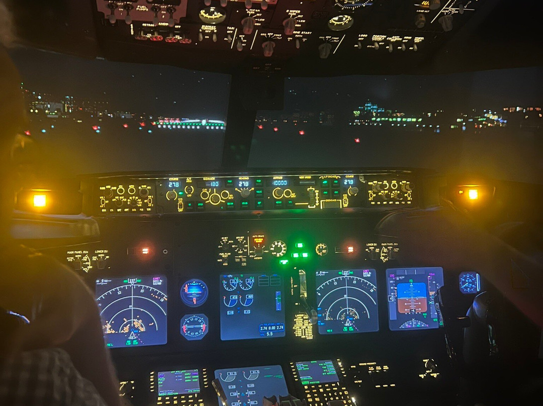 Sandpiper Flight Simulator-Somersham必去景点