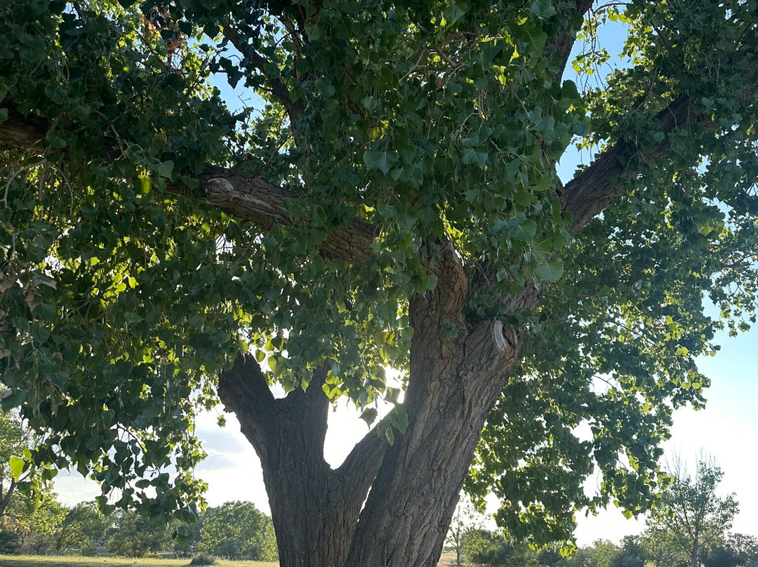 Cedar Bluff State Park-Ellis必去景点