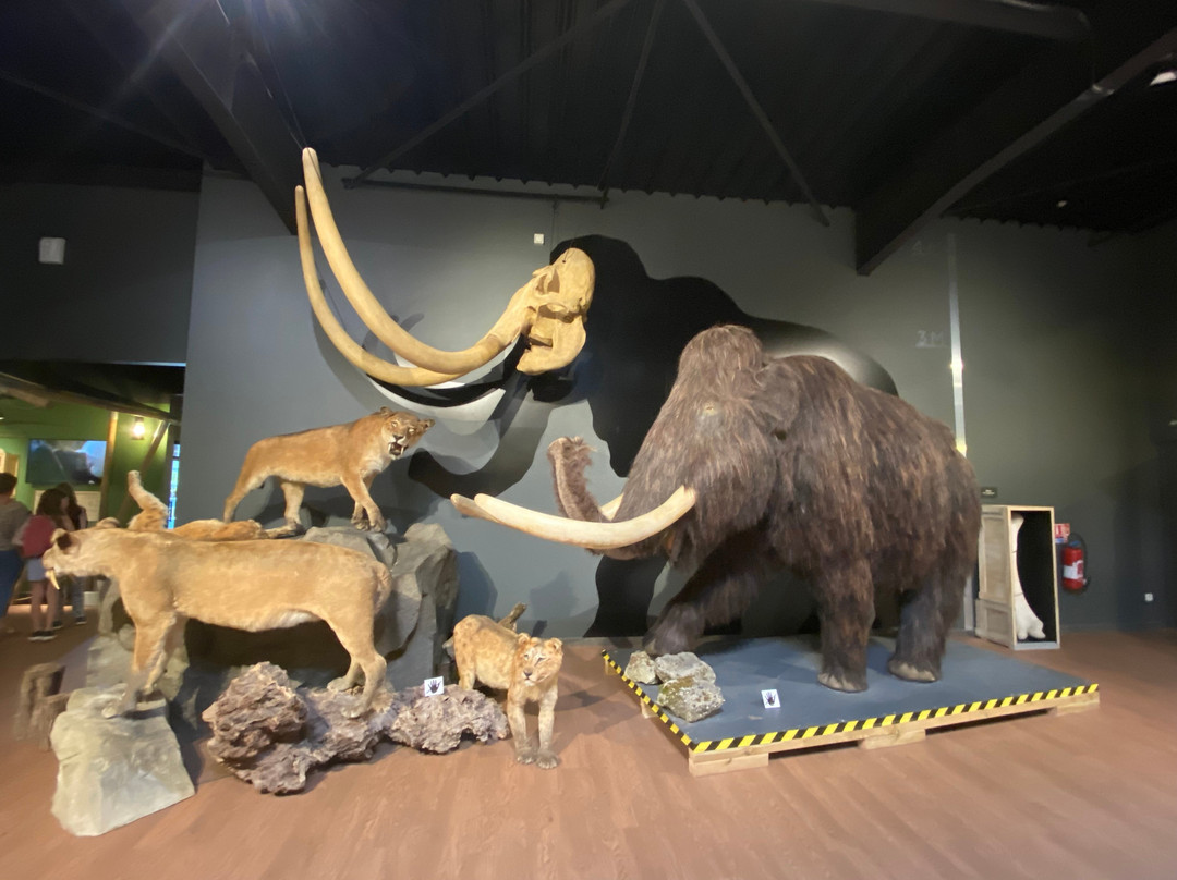 Paléosite-Saint-Cesaire必去景点