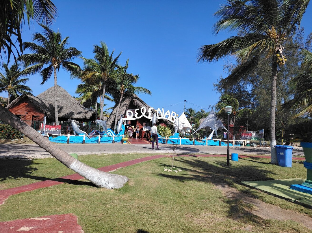 Delfinario-巴拉德罗必去景点