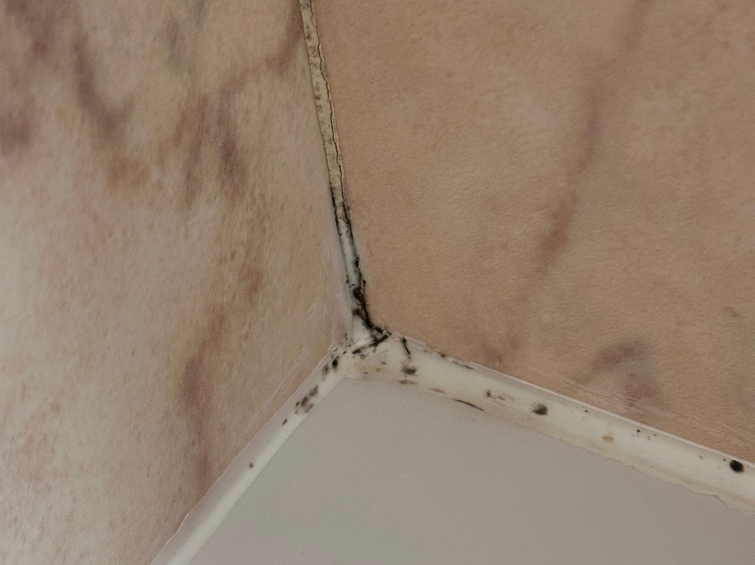 蒙泰古酒店主图