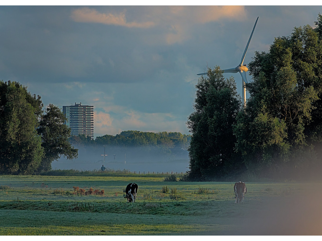 Rondvaart Zoetermeer-Zoetermeer必去景点