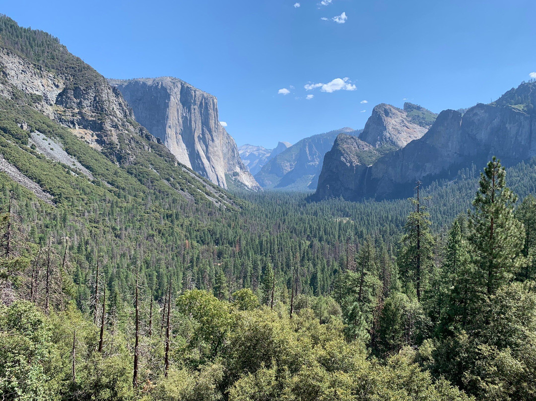 Yosemite National Park-优胜美地国家公园必去景点