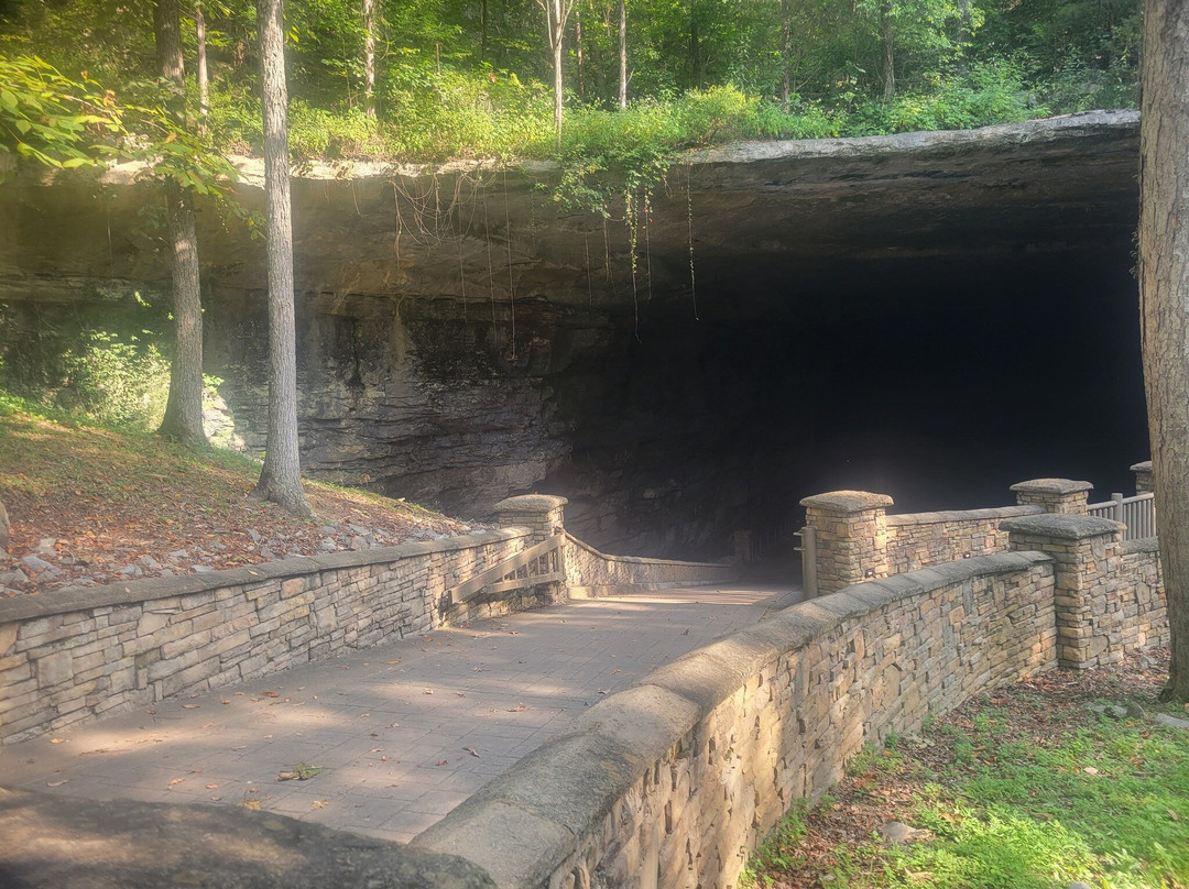 Cathedral Caverns State Park-Woodville必去景点