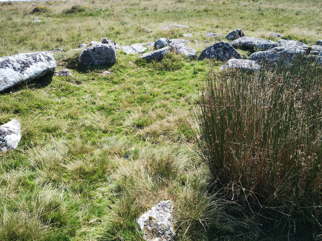Merrivale Monuments-Tavistock必去景点