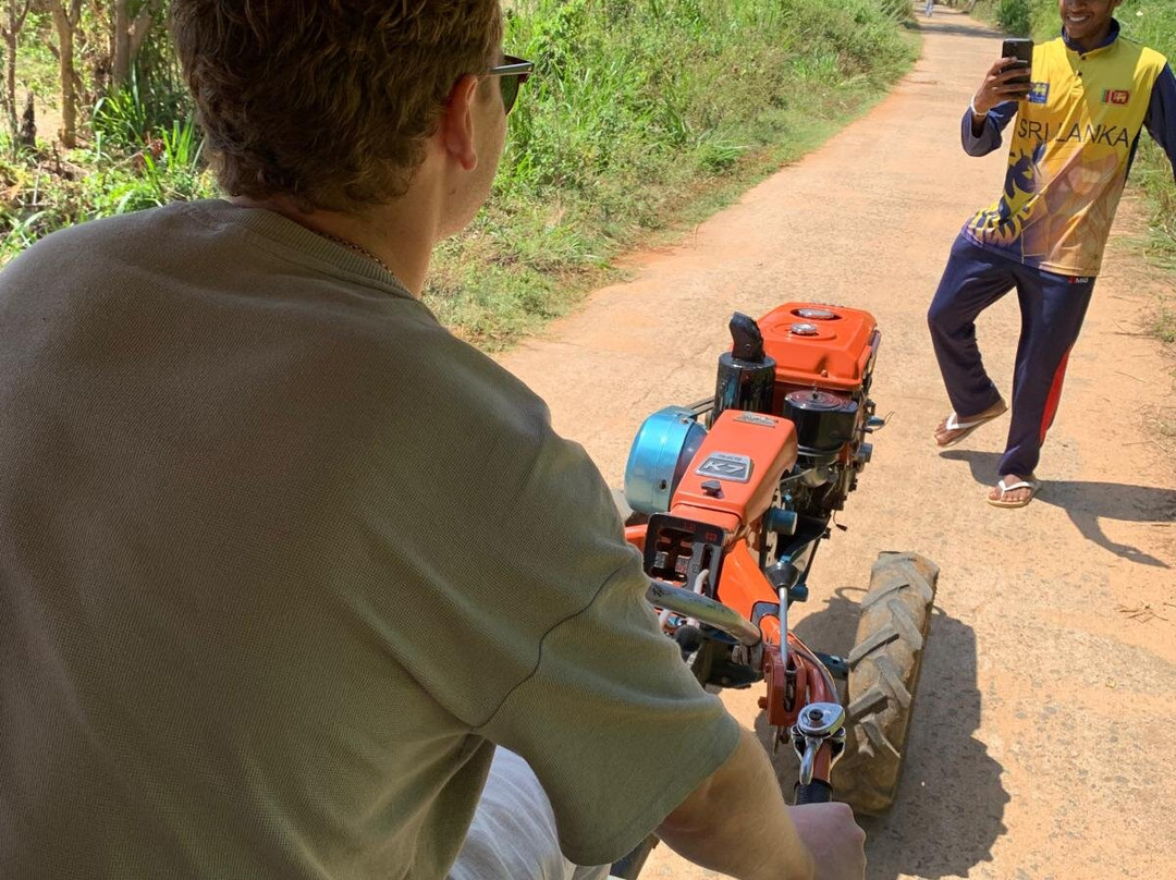 Mountlanka Tours-康提必去景点