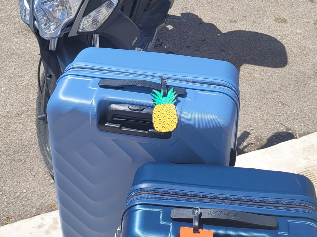 Unicorn Rent a Bike-Lassi必去景点