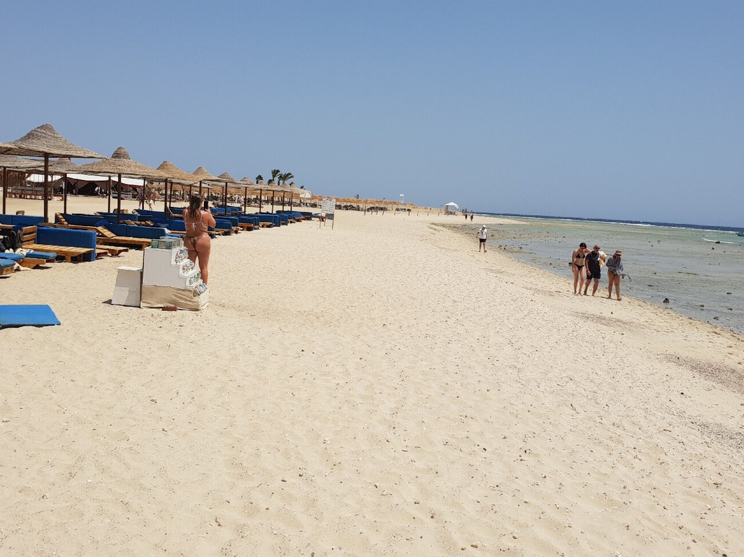Abu Dabbab Beach-马萨阿拉姆必去景点
