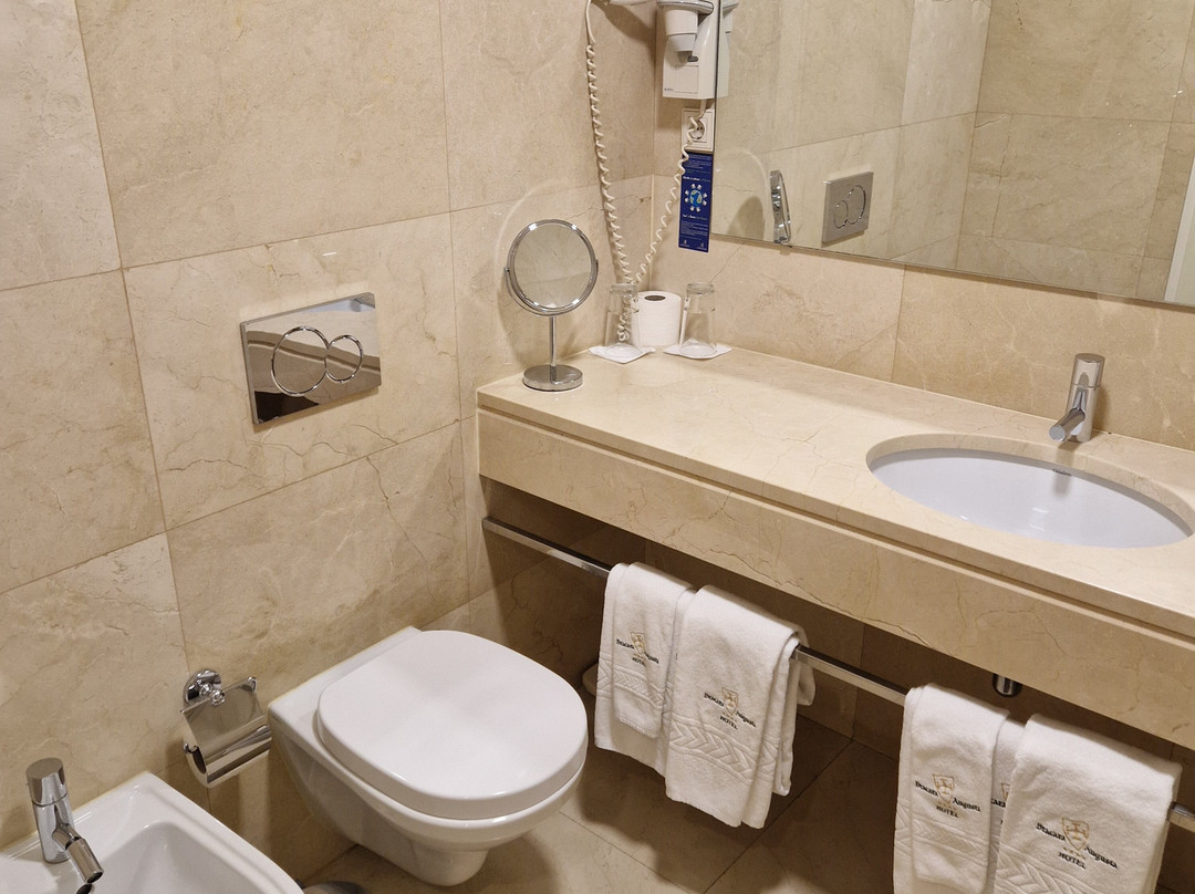 布拉卡拉奥古斯塔酒店主图