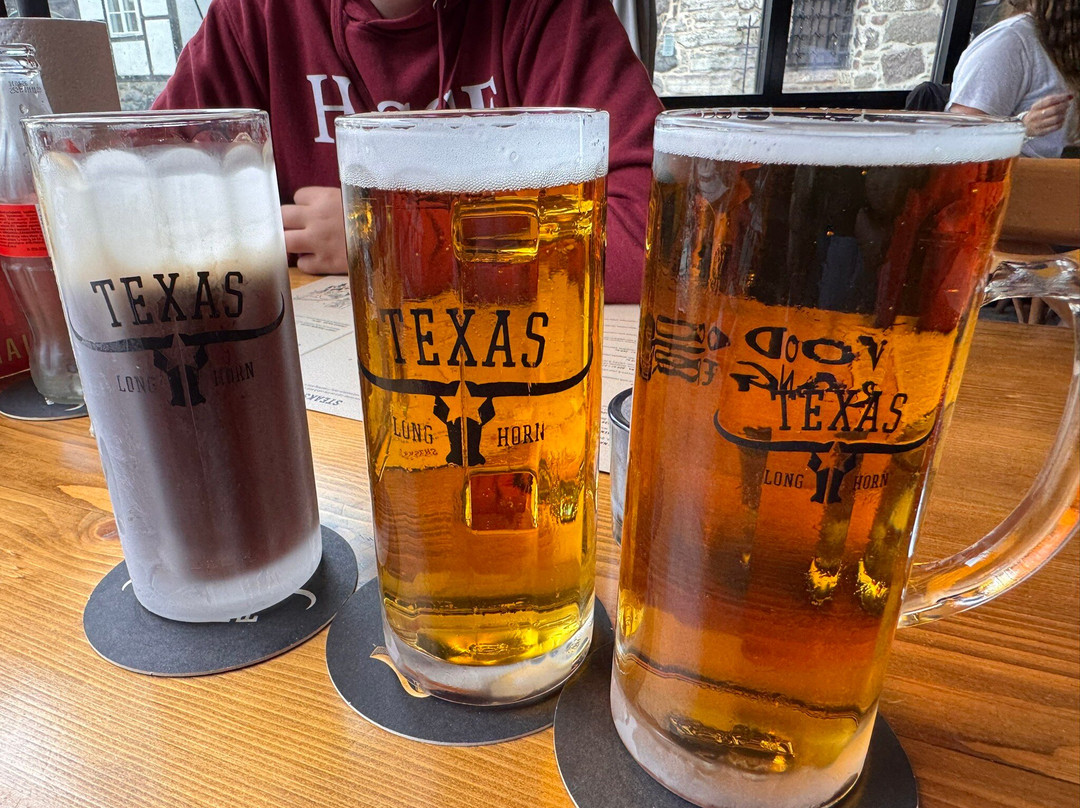 Texas Long Horn