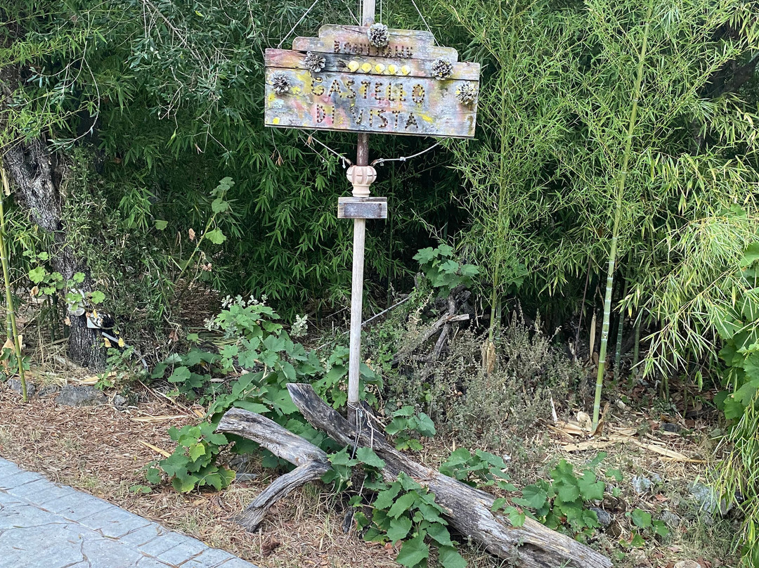 Castello di Vista主图