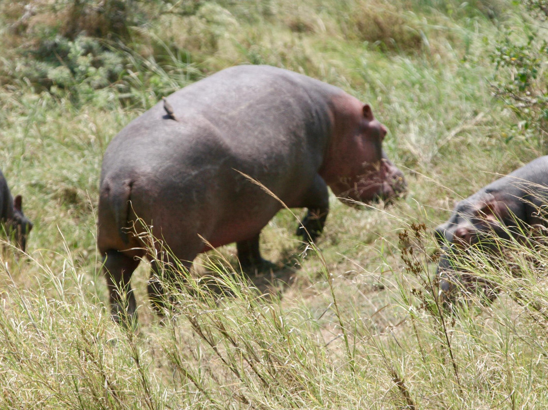 Mamnana Adventures-Olasiti必去景点