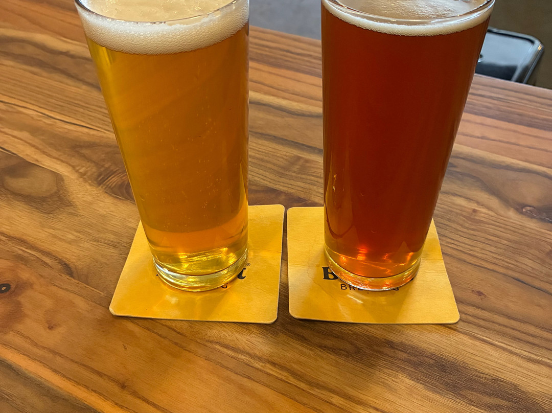 Bracket Brewing-马里克维尔必去景点