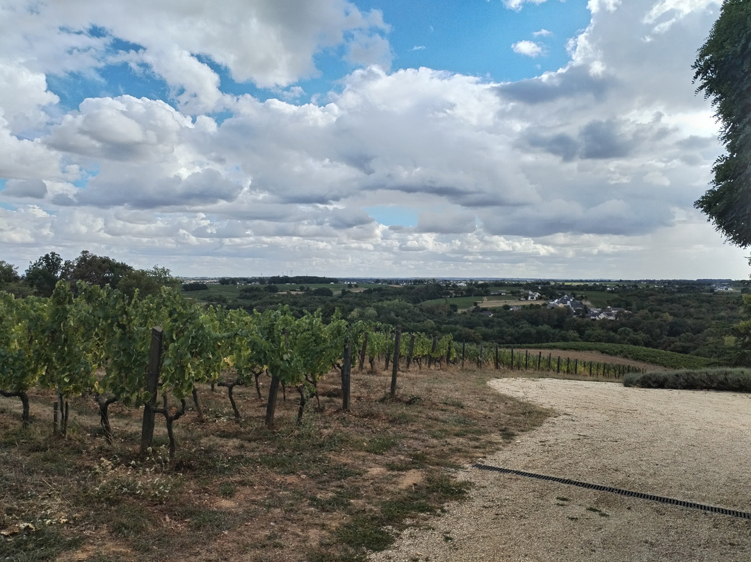 Domaine de la Soucherie主图