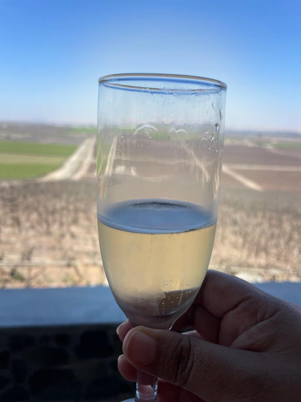 Hotel Viñas Queirolo-浴室