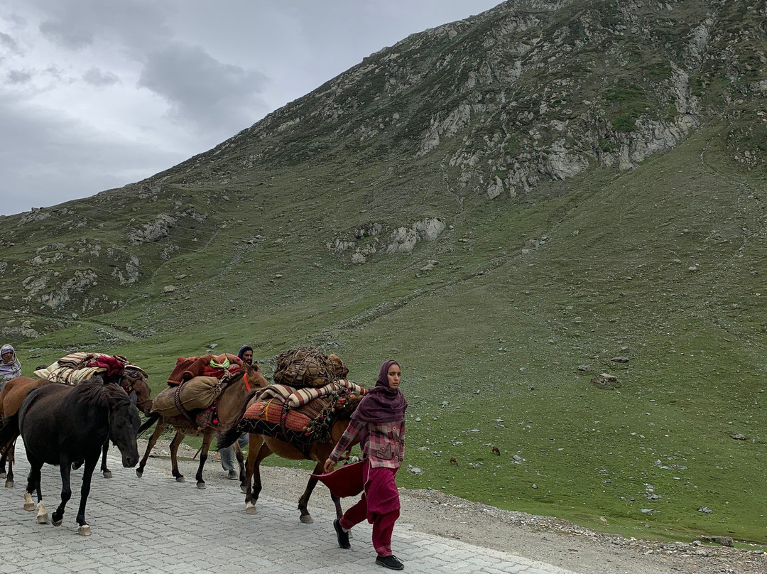 Holiday India Day Tours-新德里必去景点