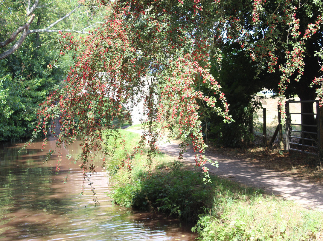 Road House Narrowboats-Gilwern必去景点