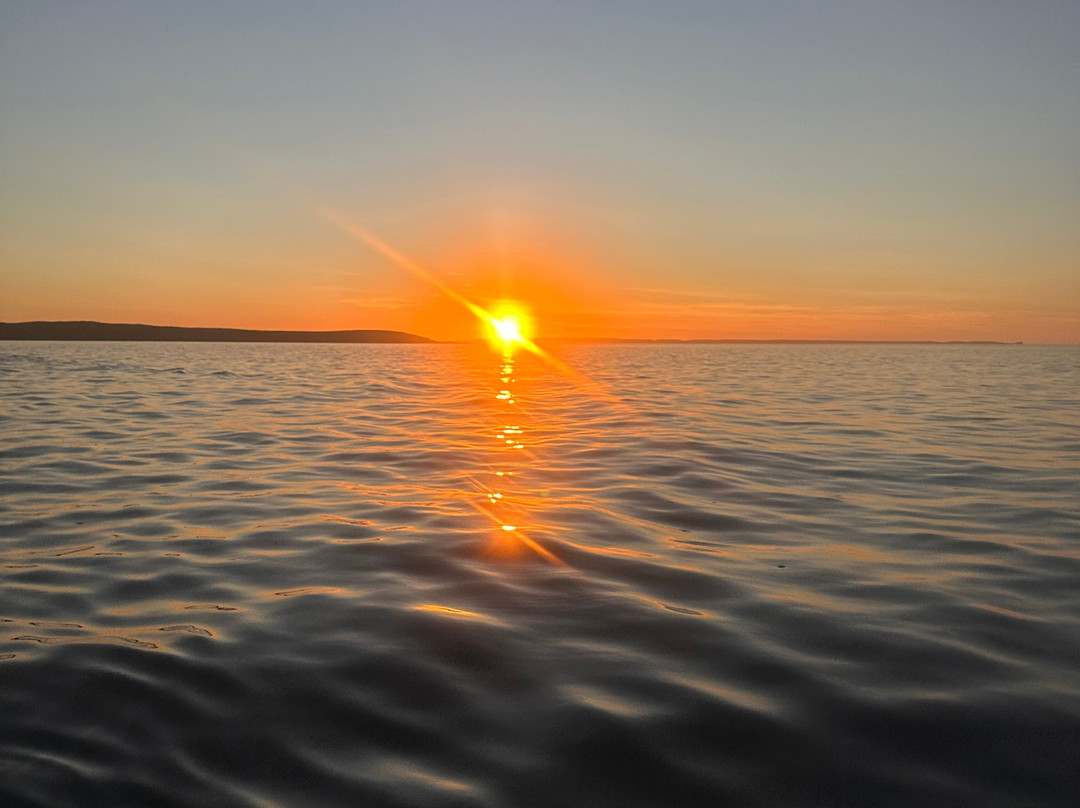 Lethal Adventures-Dampier必去景点