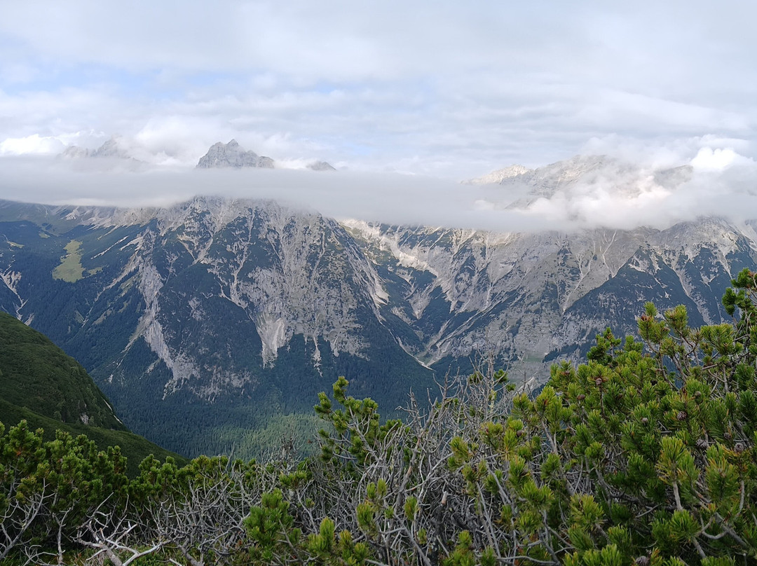 Bergwanderführer Tirol-洛伊塔戌必去景点