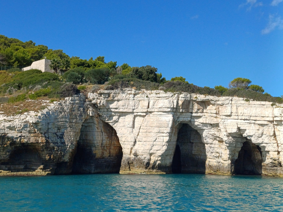 Motobarca Vittorio - Day Tours-佩斯基奇必去景点