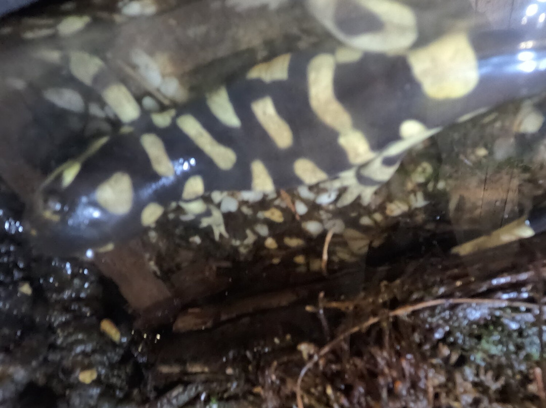 Electric City Aquarium & Reptile Den-斯克兰顿必去景点