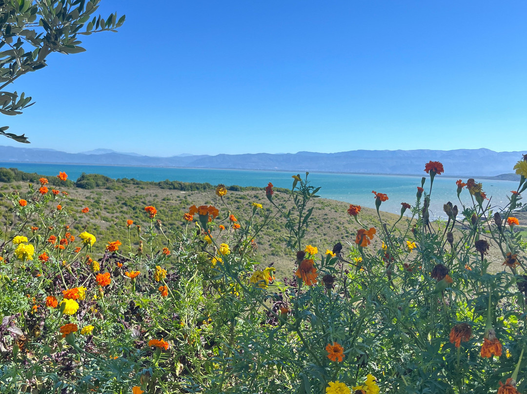 Cape Of Rodon Resort-杜勒斯必去景点