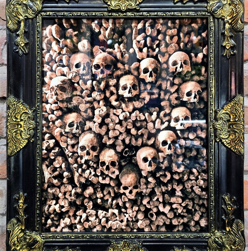 Joseph Walton Photography-新奥尔良必去景点