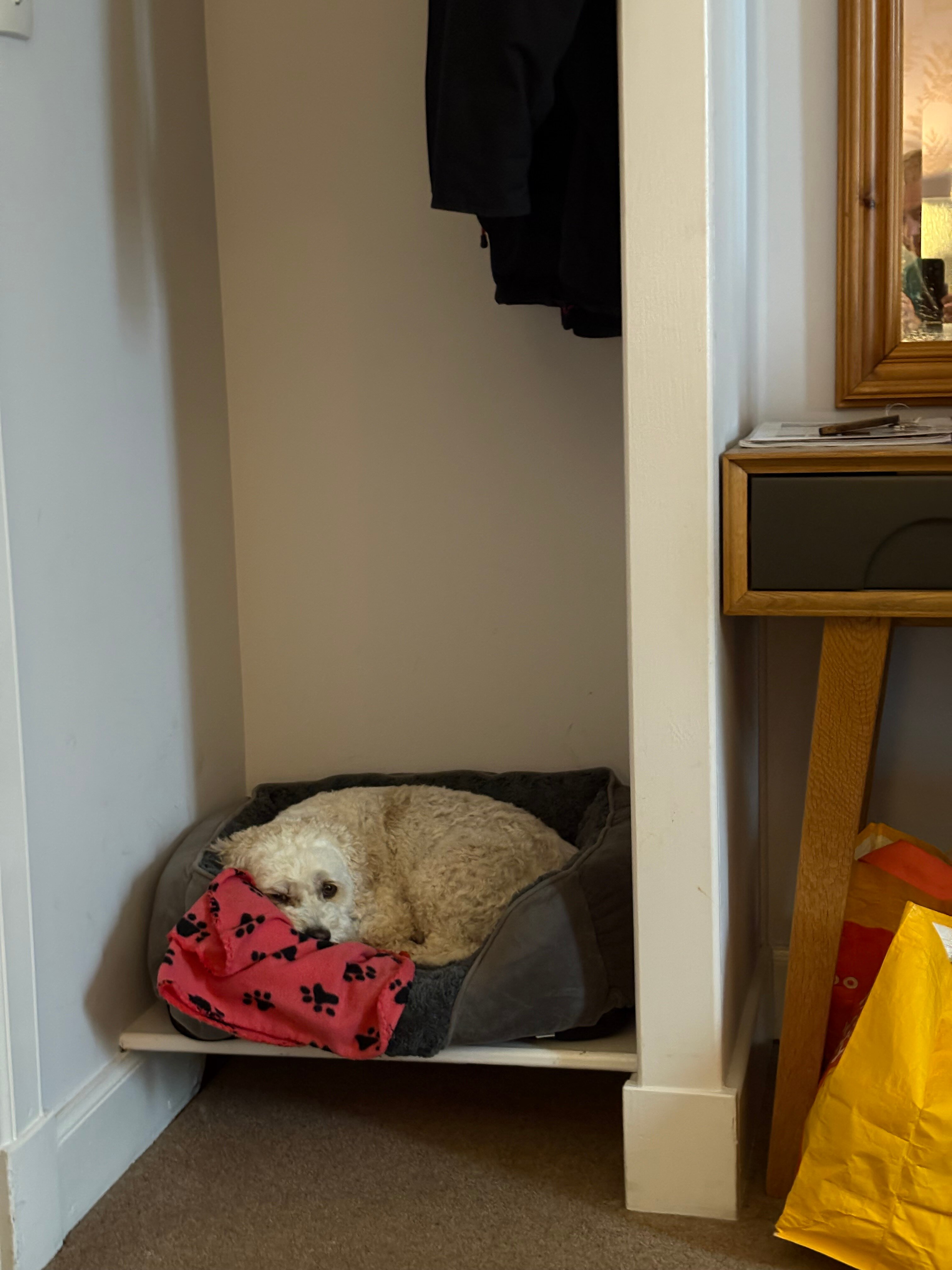 多尔诺奇城堡酒店-客卧