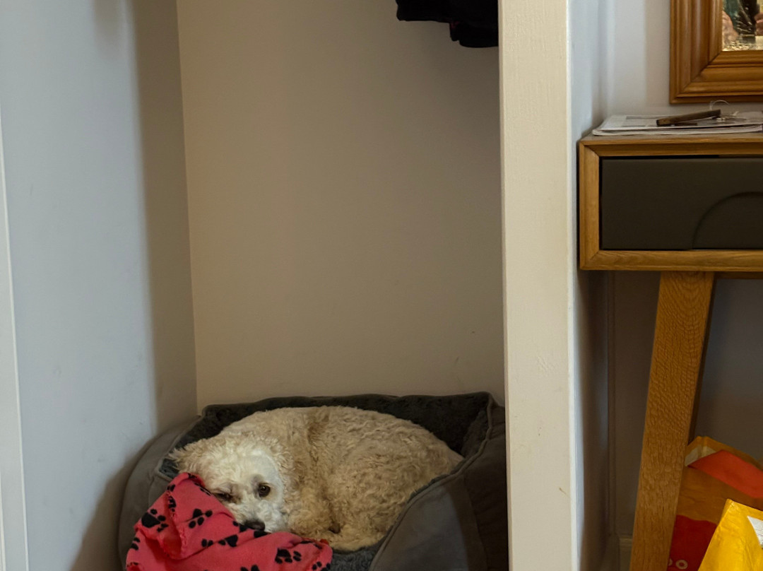 多尔诺奇城堡酒店主图