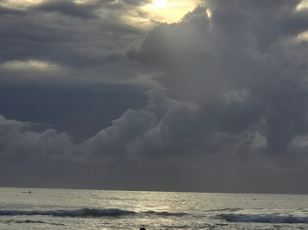 Kurrawa Pratten Park-布罗德海滩必去景点