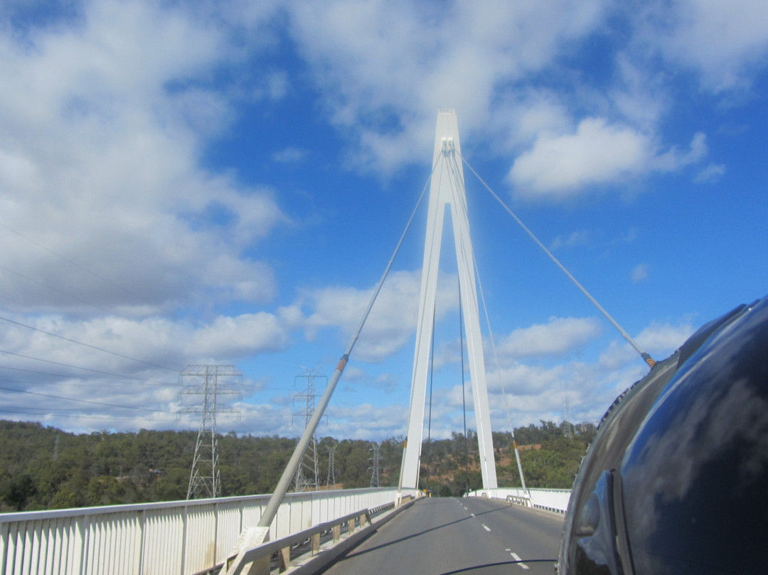 Fun Over Fifty-布里斯班必去景点