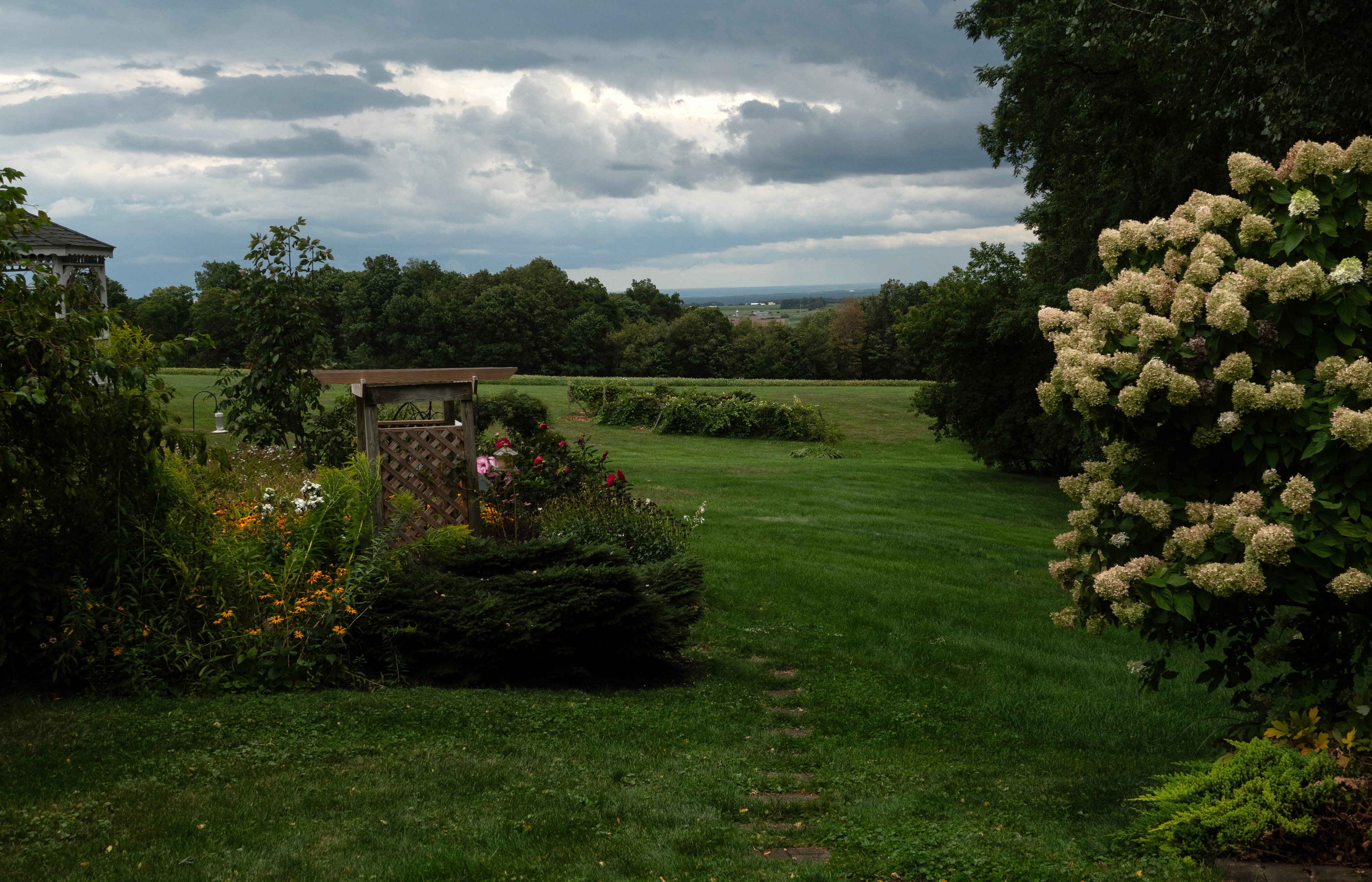 Los Gatos Bed & Breakfast-酒店景观