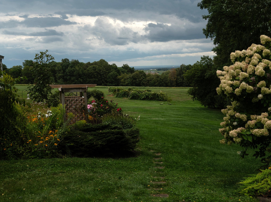 Los Gatos Bed & Breakfast主图