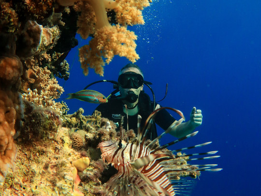 Blue Sea Dive Club-沙姆沙伊赫必去景点