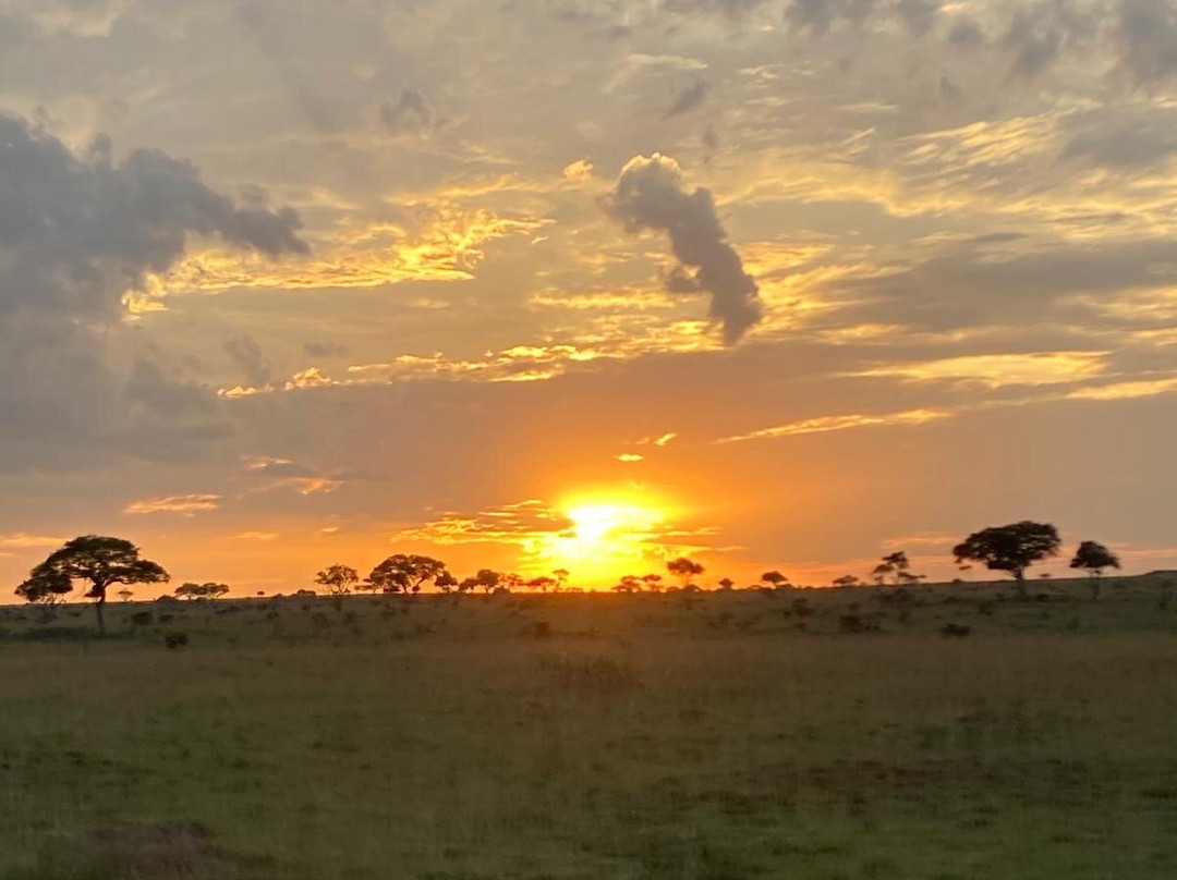 Kfir Adventures Ltd-马辛迪必去景点