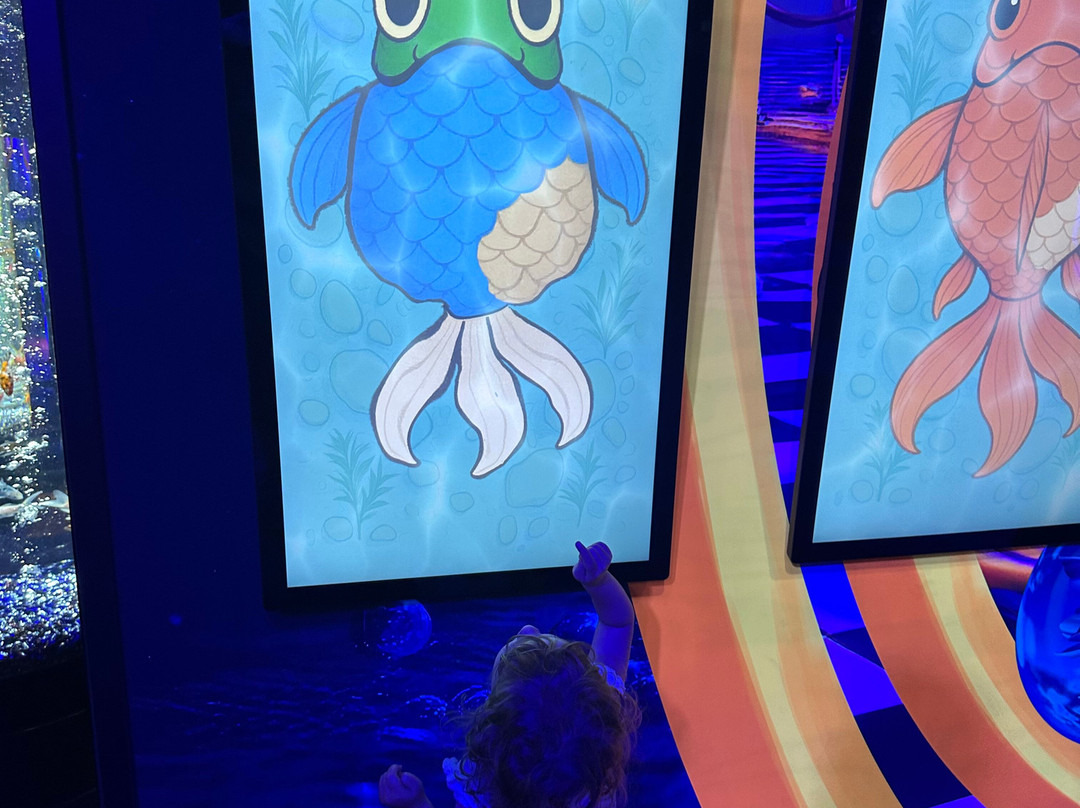 里普利水族管-美特尔海滩必去景点