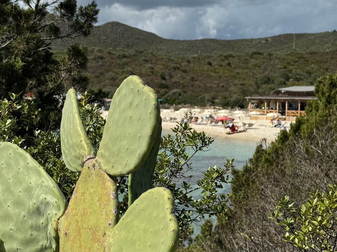 Cala Sassari-Golfo Aranci必去景点