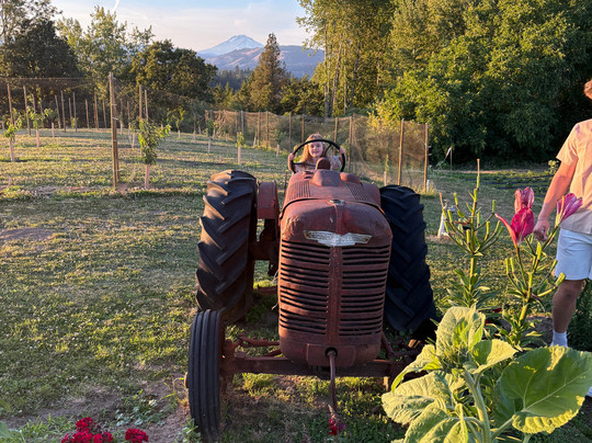 Pearl's Place Fruit Stand-胡德里弗必去景点