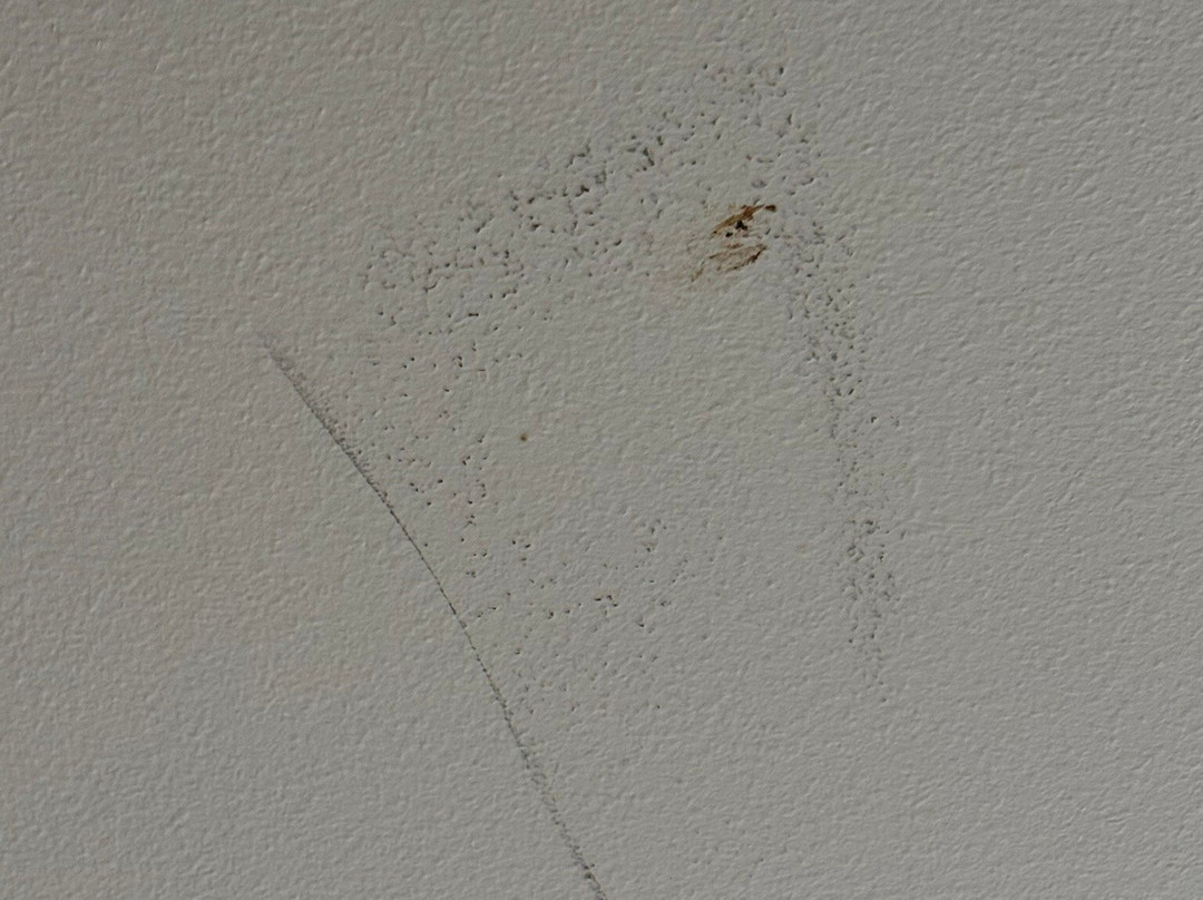 Candlewood Suites Bensalem - Philadelphia Area by IHG主图