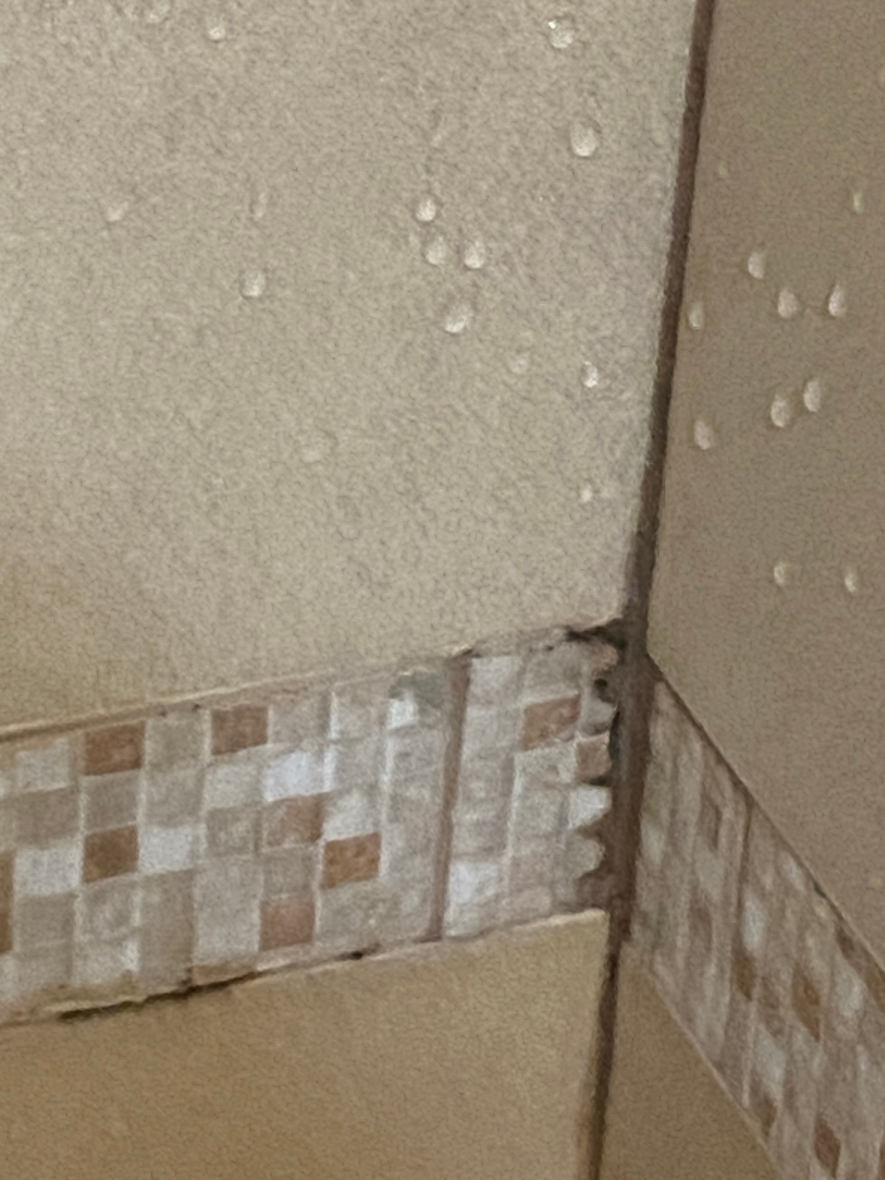 El Borj Hotel-浴室