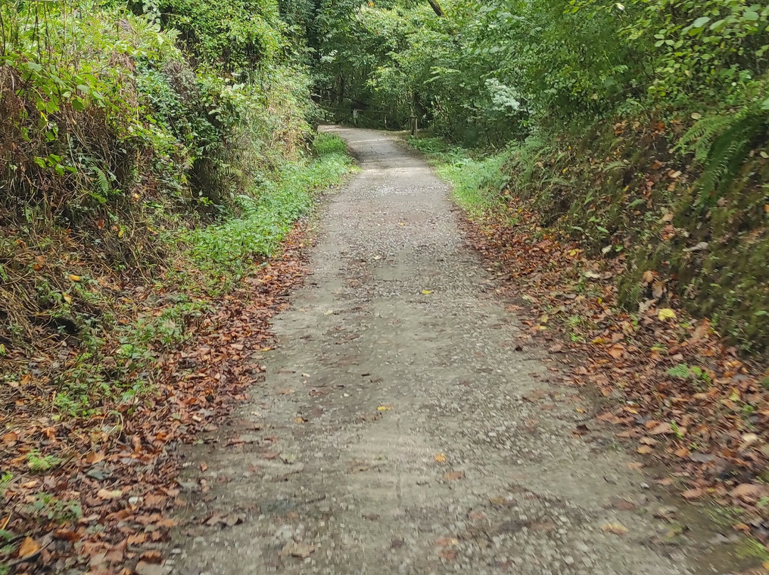 Bici Senda del oso-Teverga Municipality必去景点