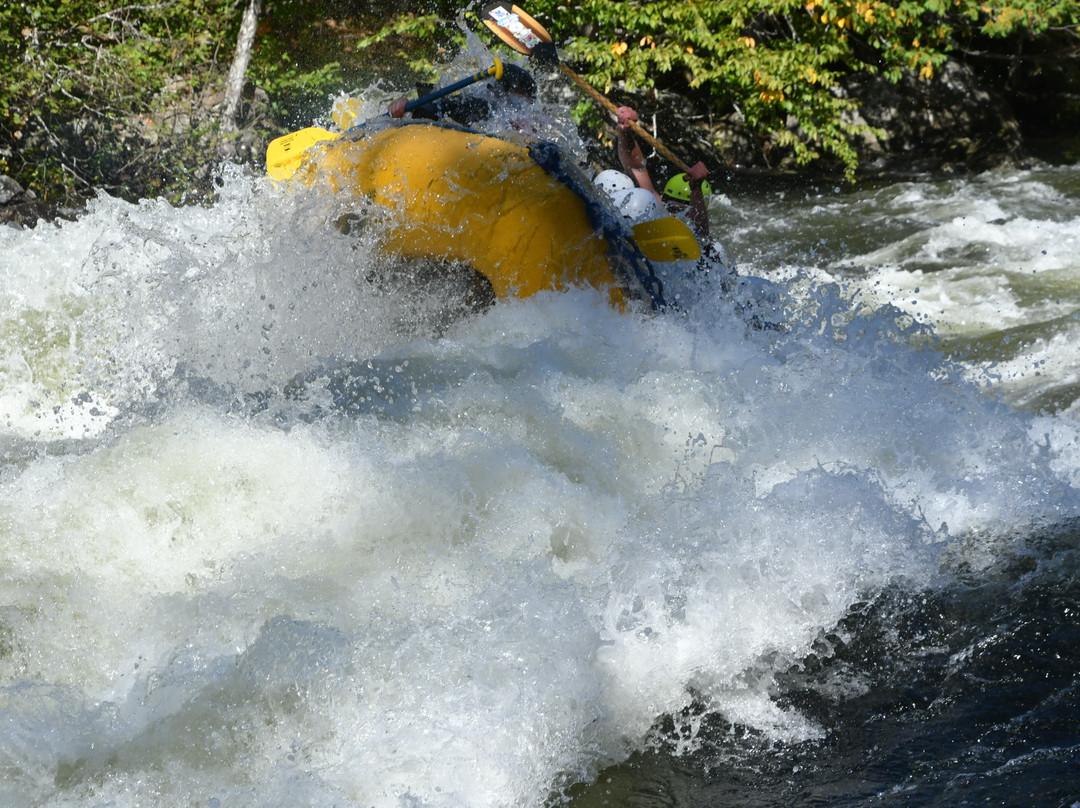 North Country Rivers-Bingham必去景点