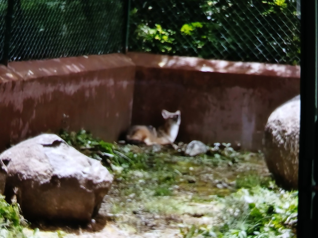 Kurumpapatti Zoological Park-Salem必去景点