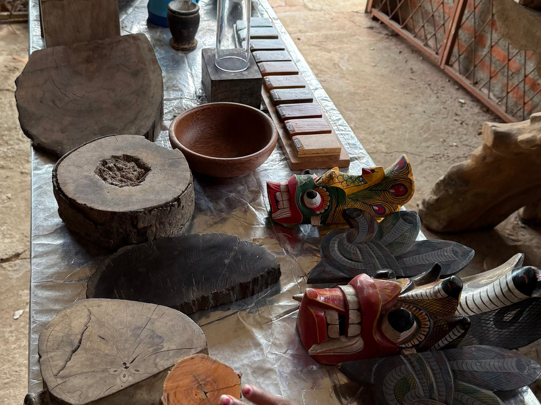 Private Tour Drivers Srilanka-卡图纳耶克必去景点