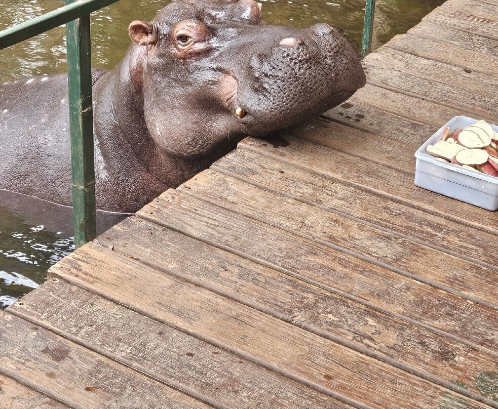 Hippo Jessica-霍德斯普鲁特必去景点