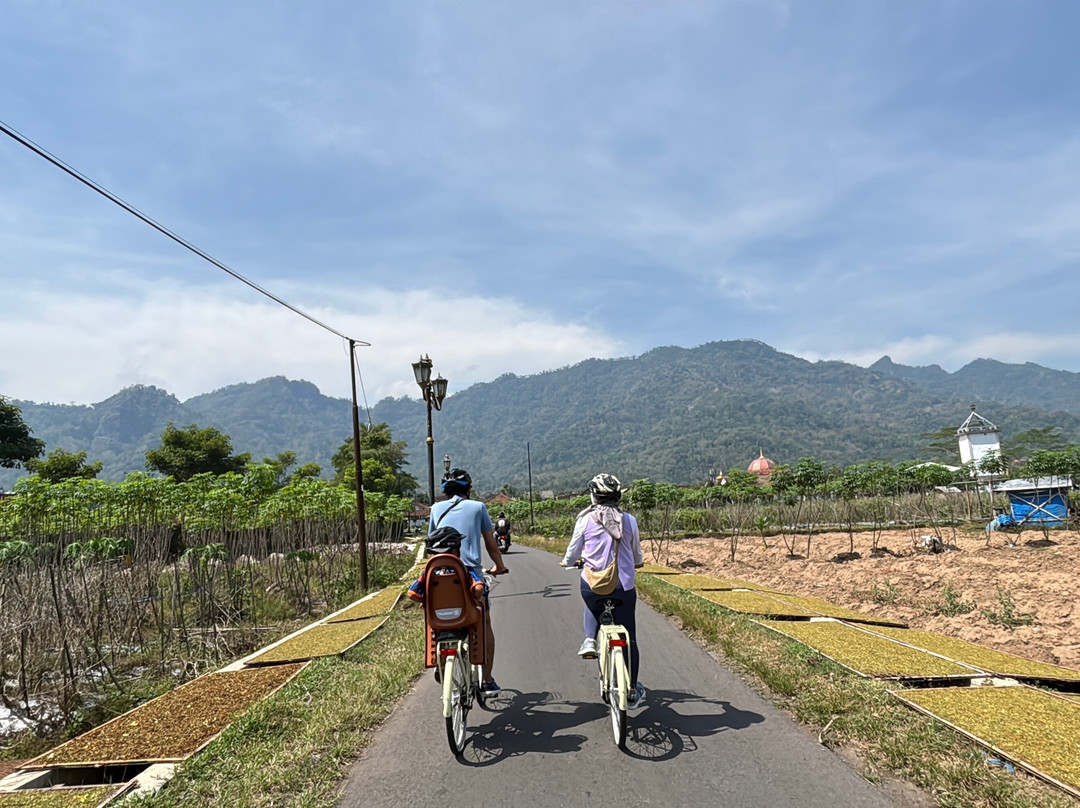 Moana - Sustainable Bicycle Tour-Yogyakarta必去景点