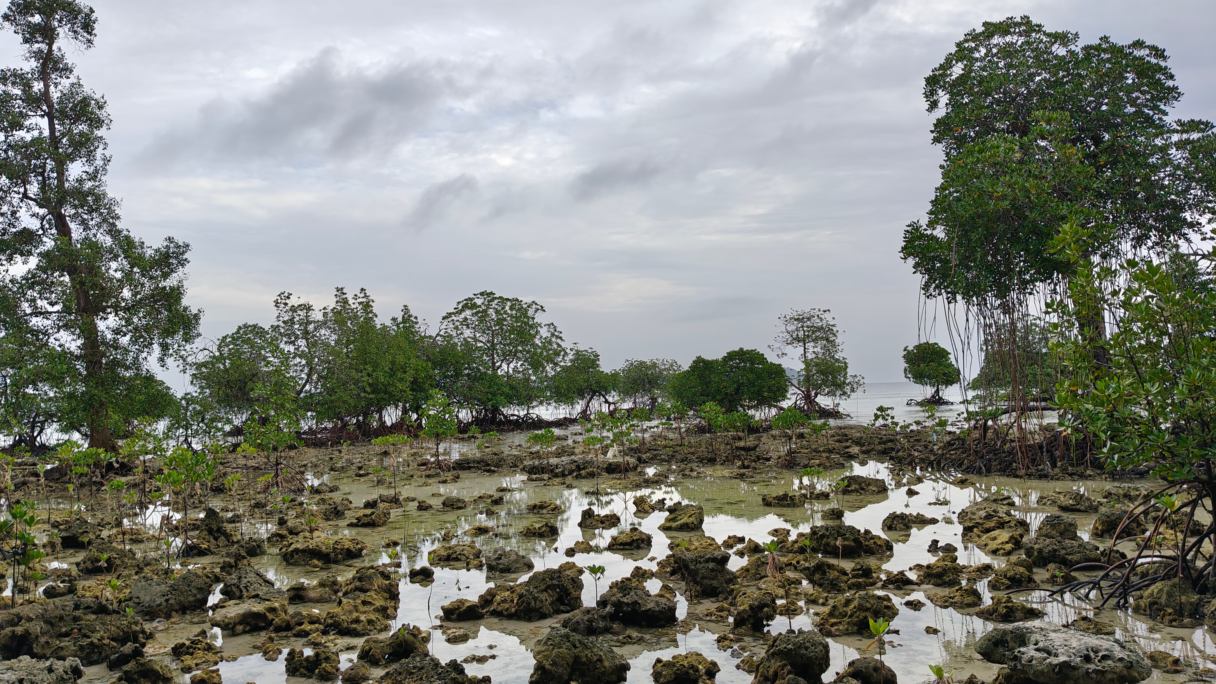 Sea Shell Neil-泳池